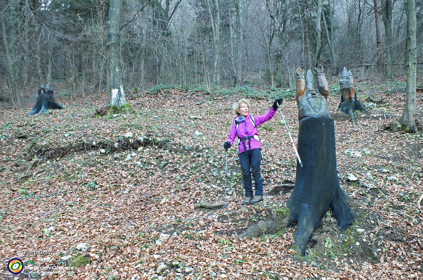 15 Siamo nel 'Bosco degli Gnomi'.JPG